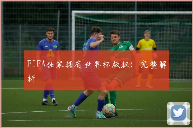 FIFA独家拥有世界杯版权：完整解析