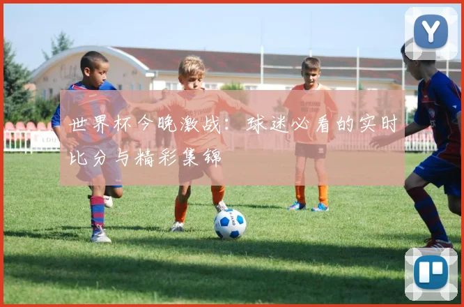 世界杯今晚激战：球迷必看的实时比分与精彩集锦