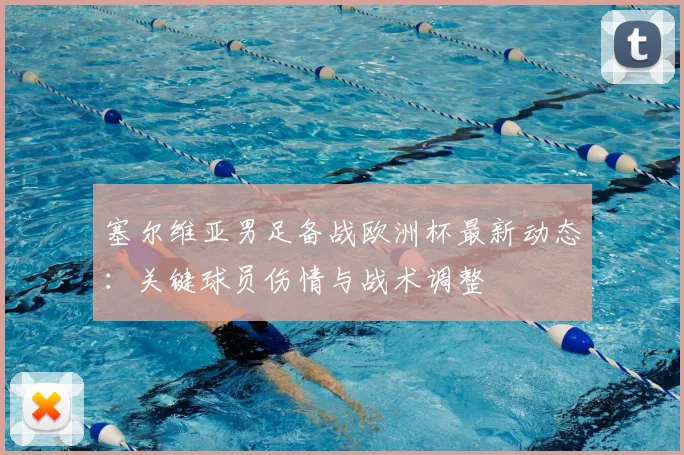 塞尔维亚男足备战欧洲杯最新动态：关键球员伤情与战术调整