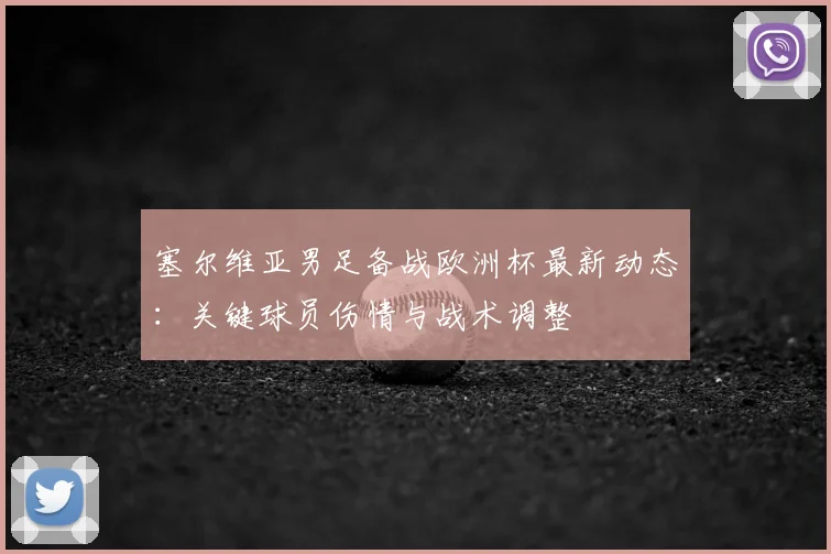 塞尔维亚男足备战欧洲杯最新动态：关键球员伤情与战术调整