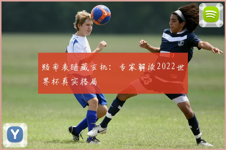 赔率表暗藏玄机：专家解读2022世界杯真实格局