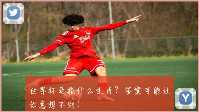 世界杯是指什么生肖？答案可能让你意想不到！