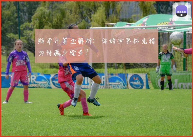 赔率计算全解析:你的世界杯竞猜为何赢少输多?