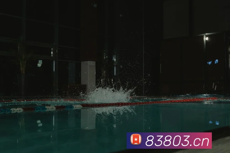 mk体育官网登录平台生态图