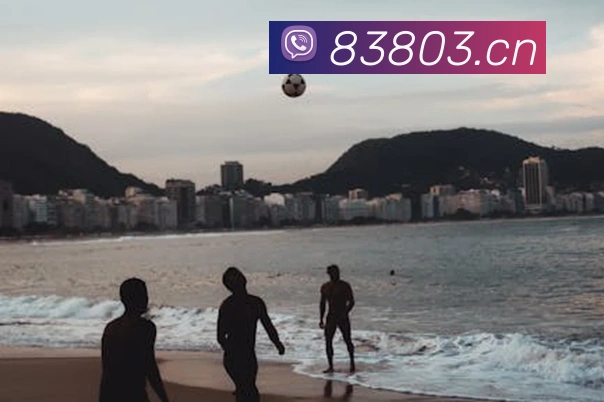 数据防护可视化